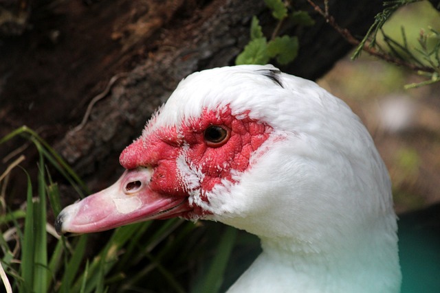 今天是北京时间2025年12月10日星期三，欢迎收看早报！